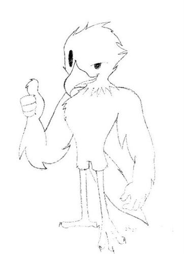 sketch bird 